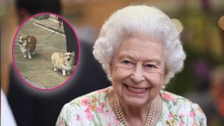 Los perros de la Reina Isabel en un montaje de Look. (Fotos: Gtres)