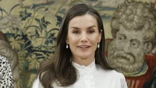 La Reina Letizia en una audiencia. (Foto: Gtres)