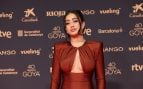 Los mejores y peores looks de la alfombra roja de los premios Goya 2026