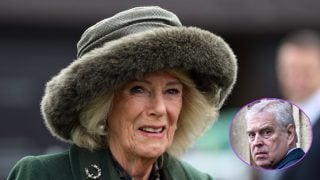 La reina Camila y Andrés en un montaje. (Fotos: Gtres)