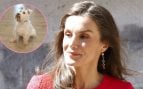 Montaje de la Reina Letizia con Cairo, el perro influencer. (Foto: Gtres y Redes Sociales)