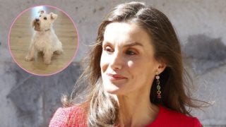 Montaje de la Reina Letizia con Cairo, el perro influencer