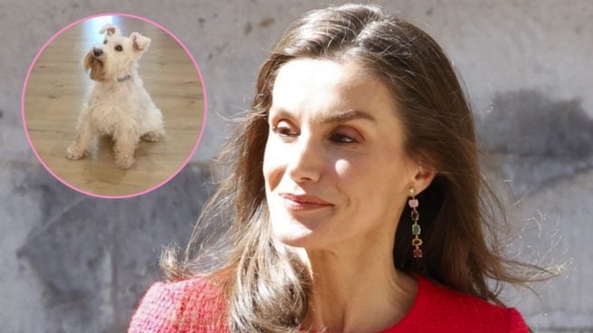 Montaje de la Reina Letizia con Cairo, el perro influencer. (Foto: Gtres y Redes Sociales)