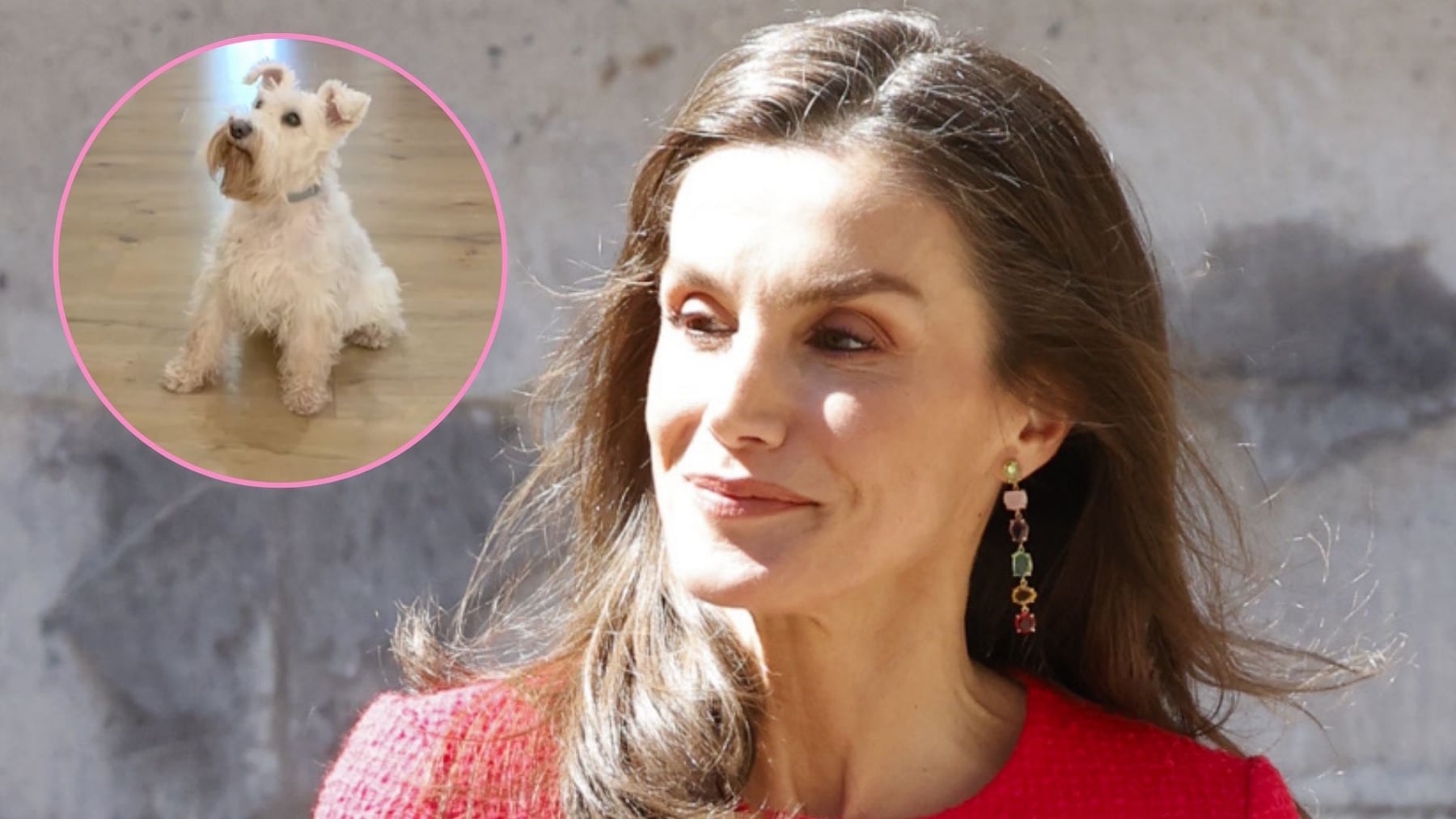 Cairo, el perro viral que confirma la otra debilidad de la Reina Letizia