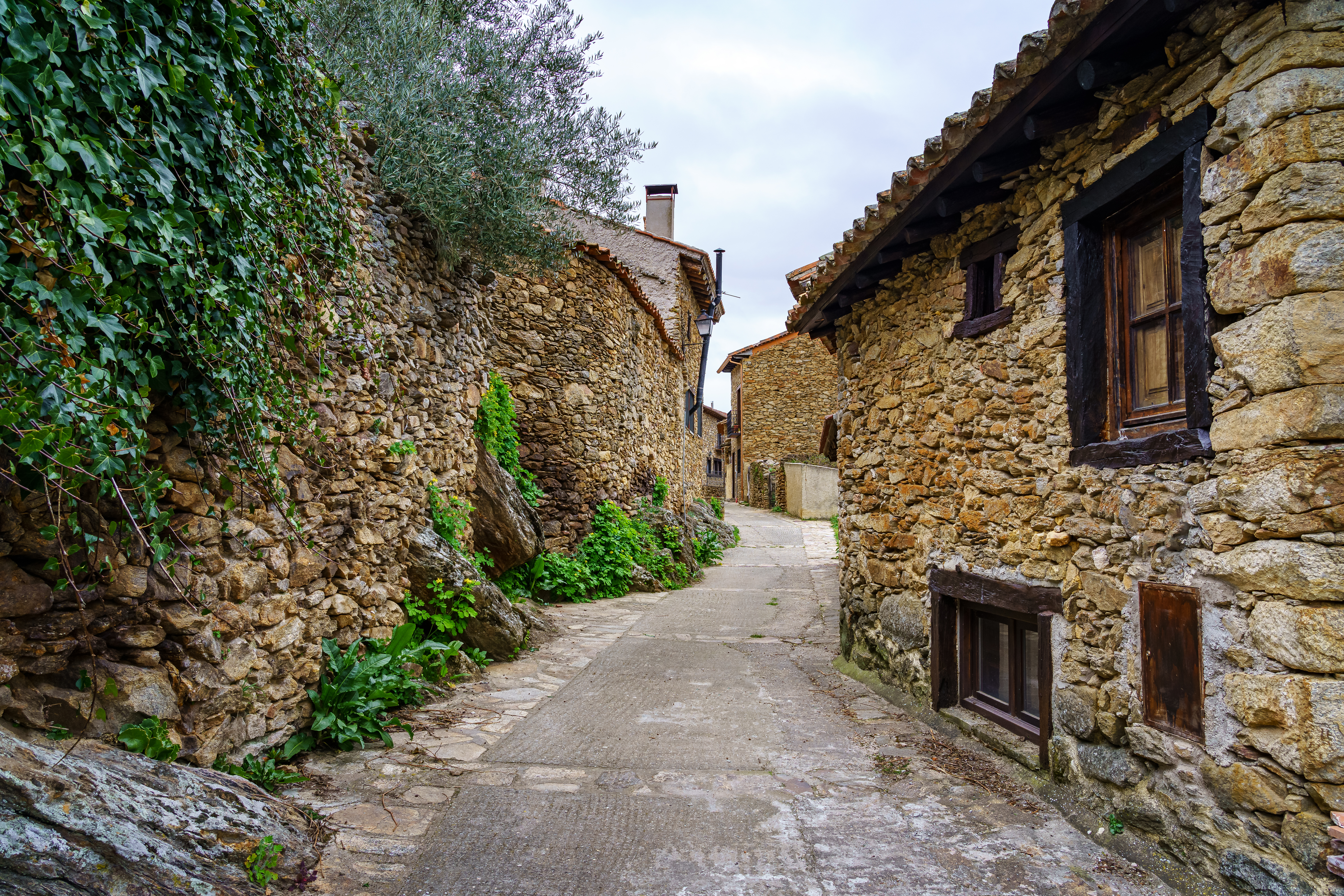 Madrid, destino rural