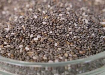 Chia seeds, food