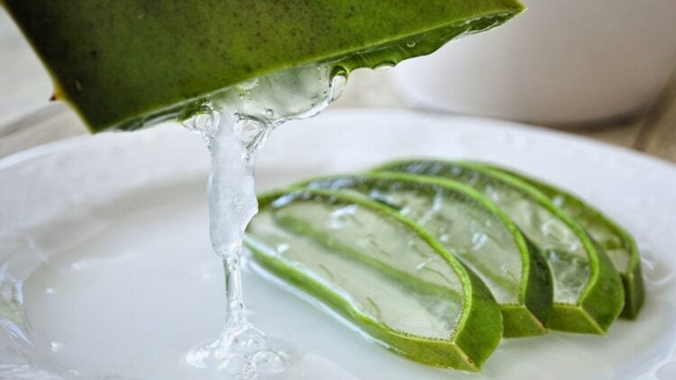 Aloe vera, blemishes, skincare