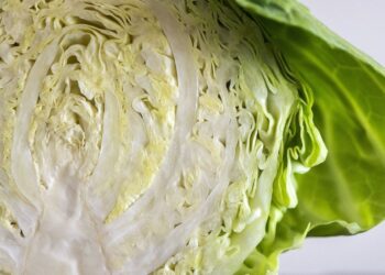 Cabbage, recipe