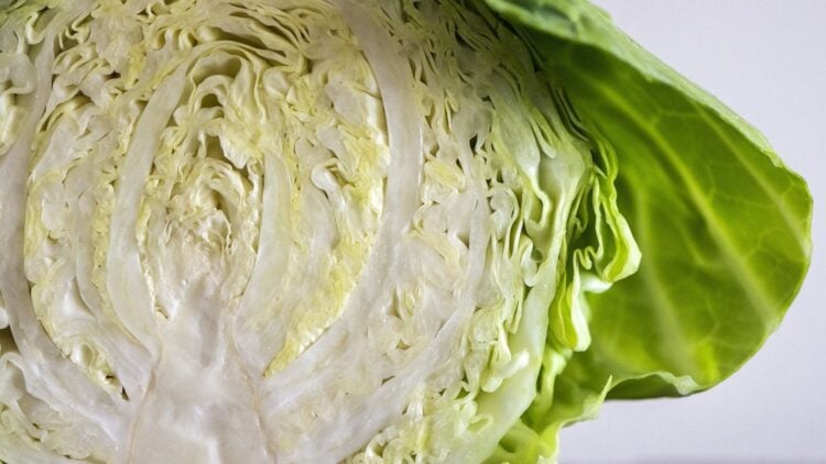 Cabbage, recipe