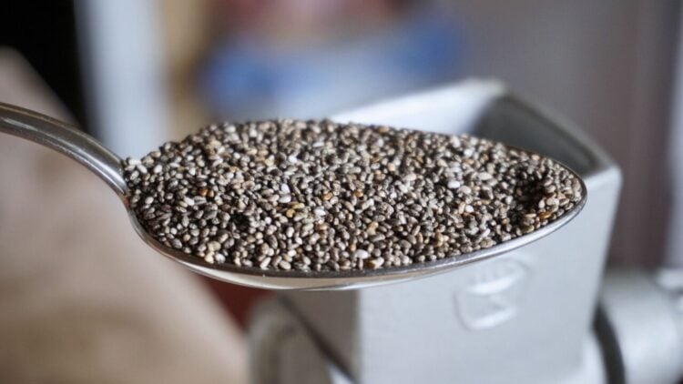 Chia seeds, diet, health