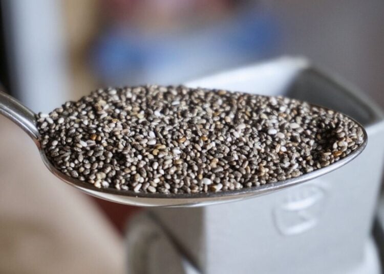 Chia seeds, diet, health