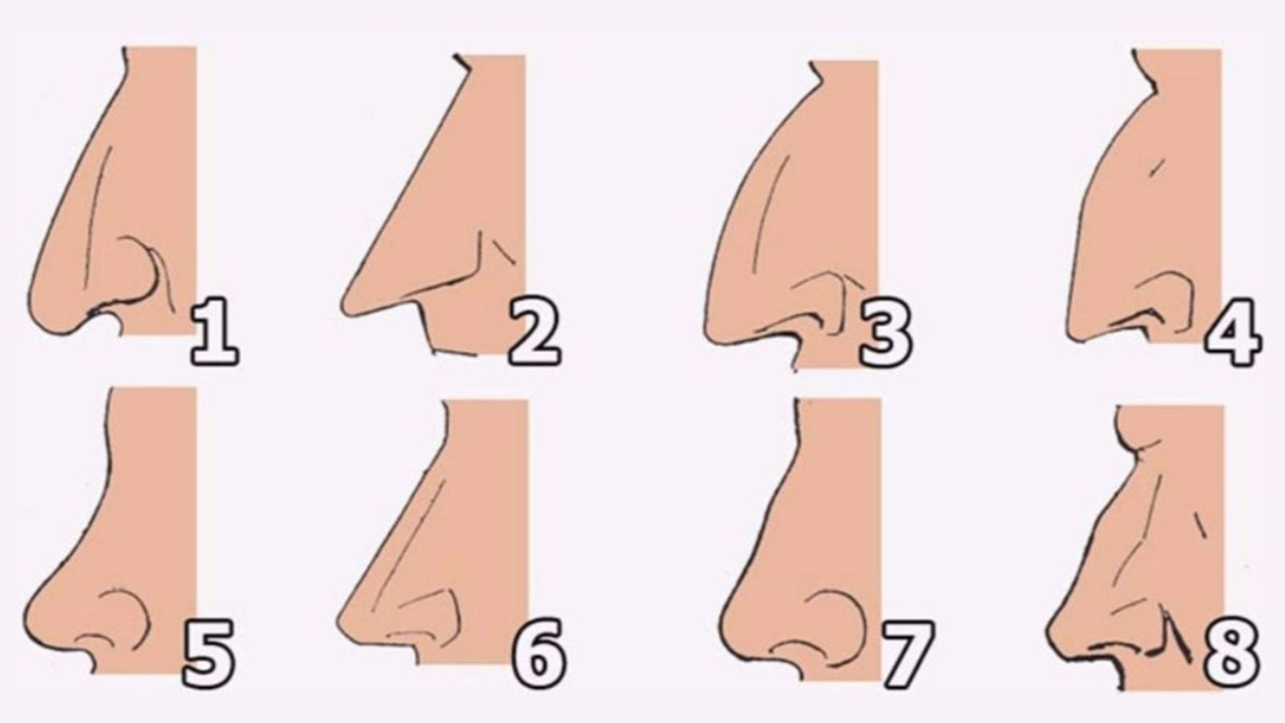 Nose shape, personality, test