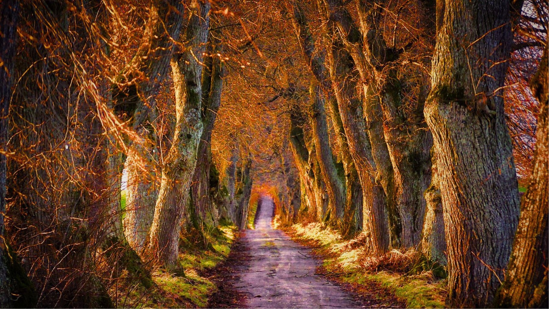 Brown, color, psychology