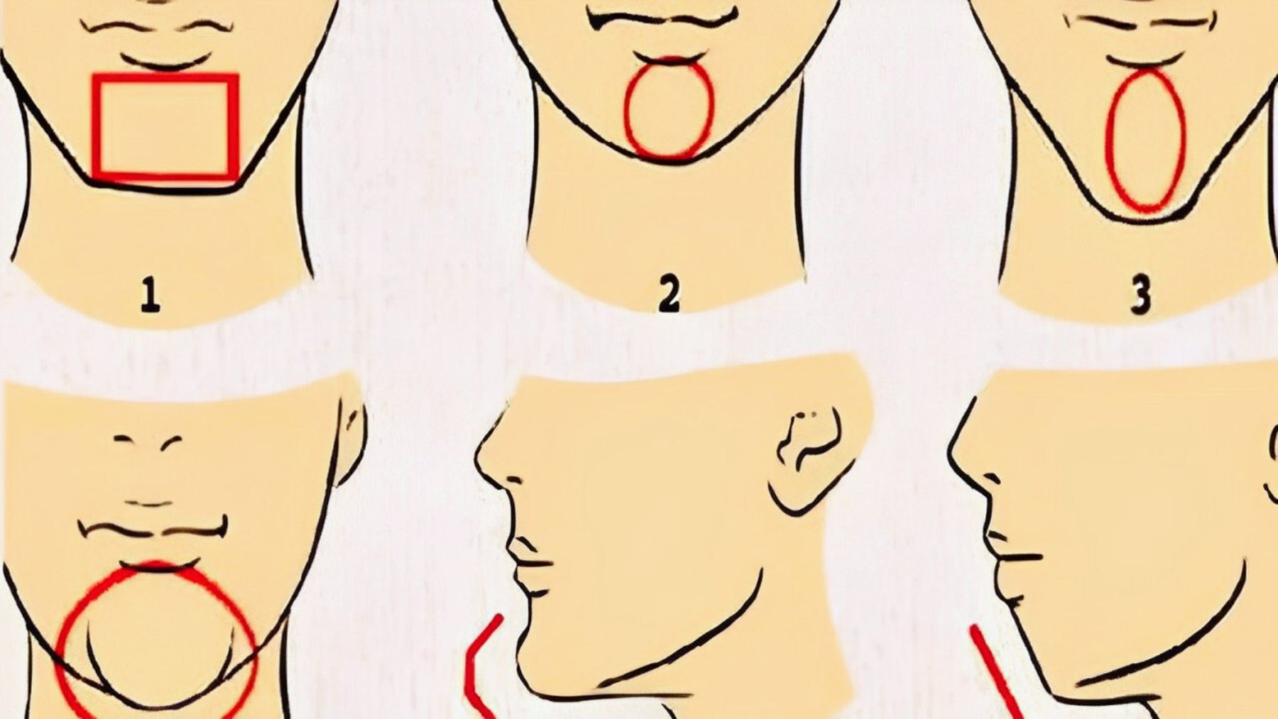 Chin, personality, test