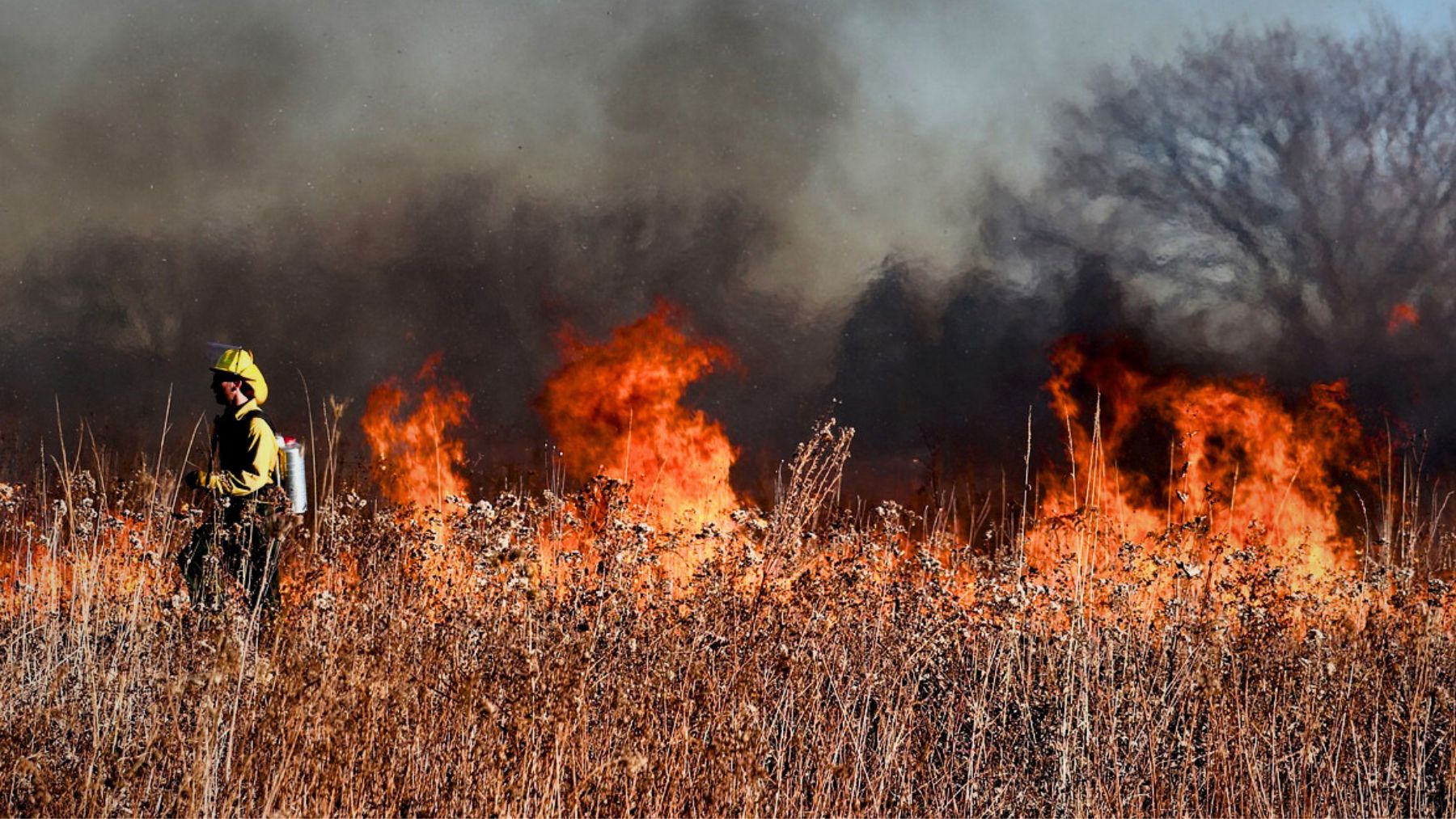 Los Angeles, wildfire, running