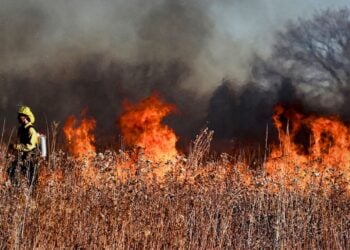 Los Angeles, wildfire, running