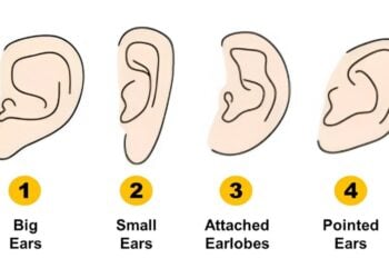 Ears, personality, test