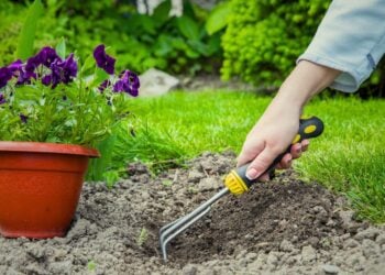 Gardening, steps, fitness