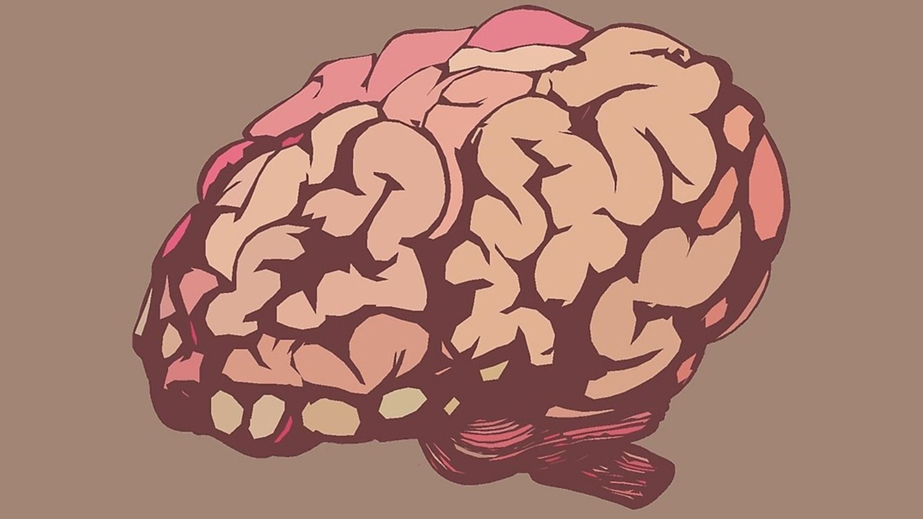 Brain, memory, health