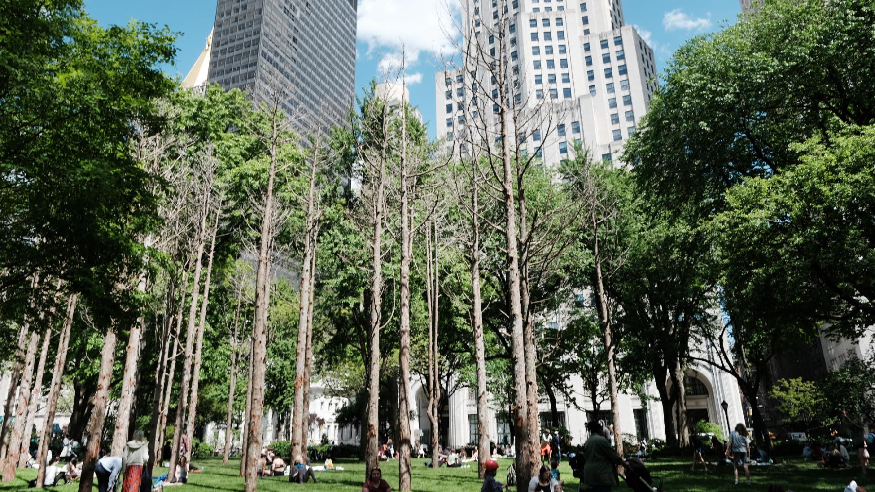 Madison Square Park. Image Getty Image