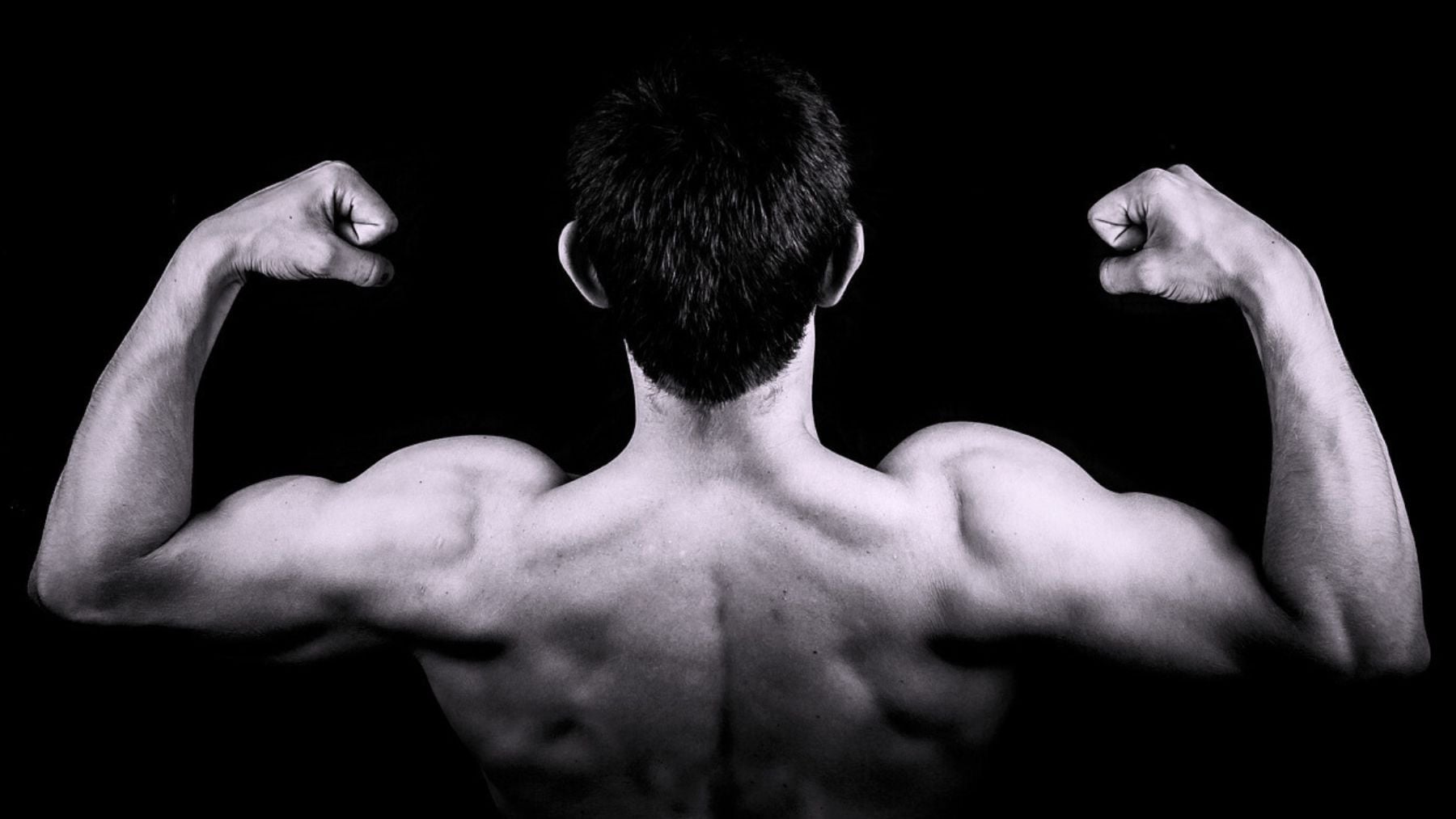 Protein powder, gain weight, muscle