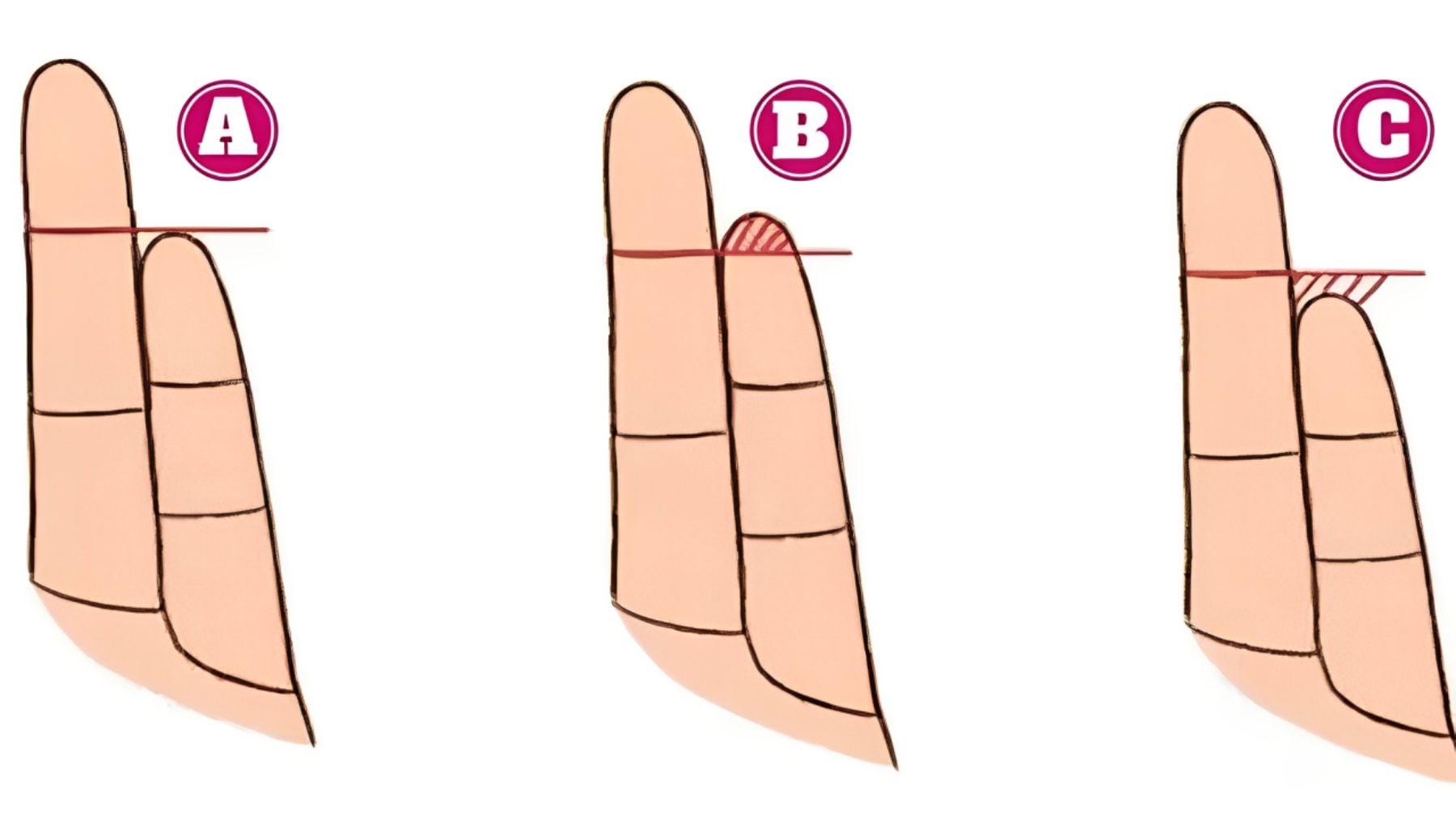 Ring finger, personality, test
