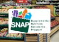 SNAP, payments, february