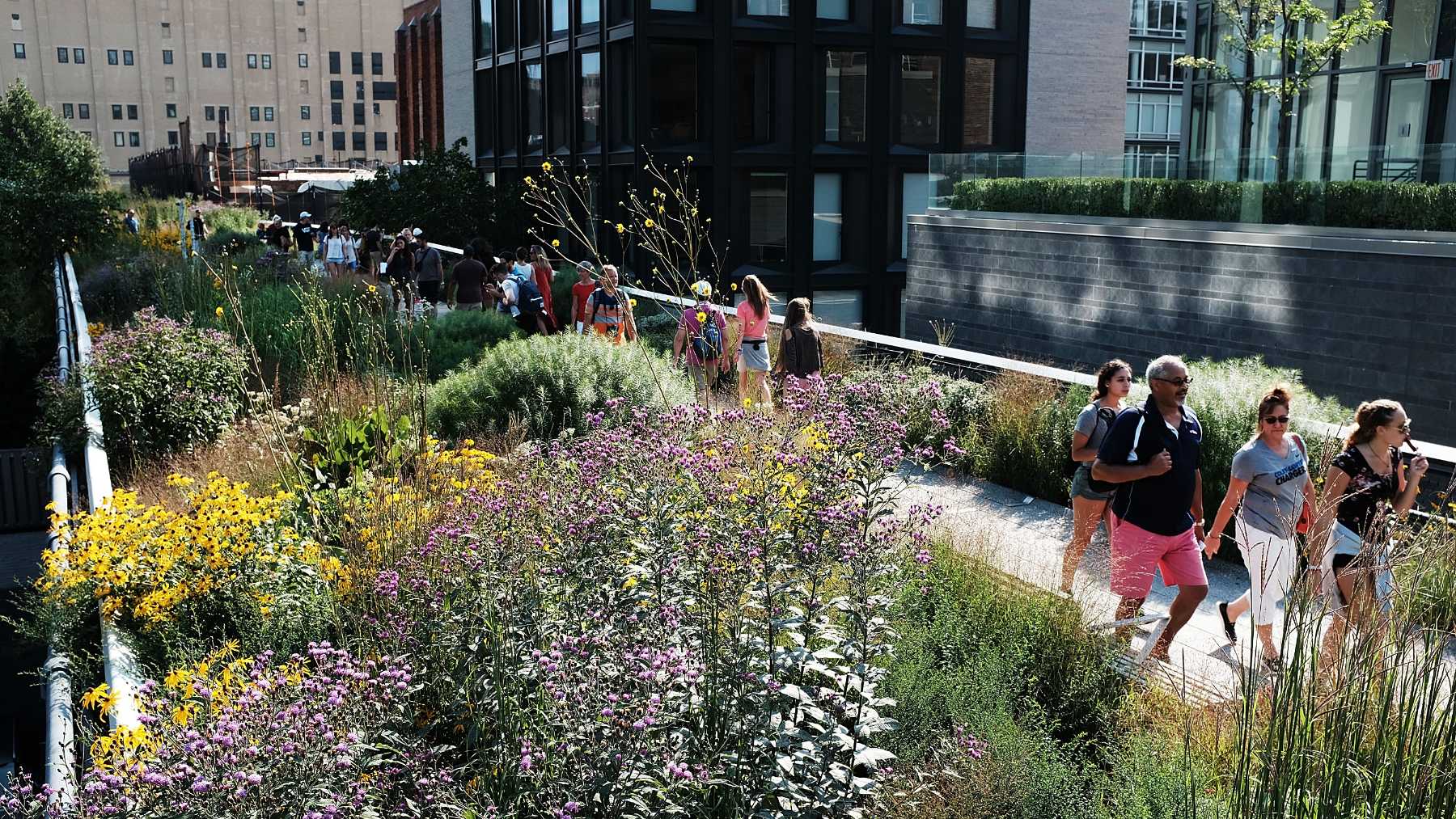 The High Line. Image Getty Images