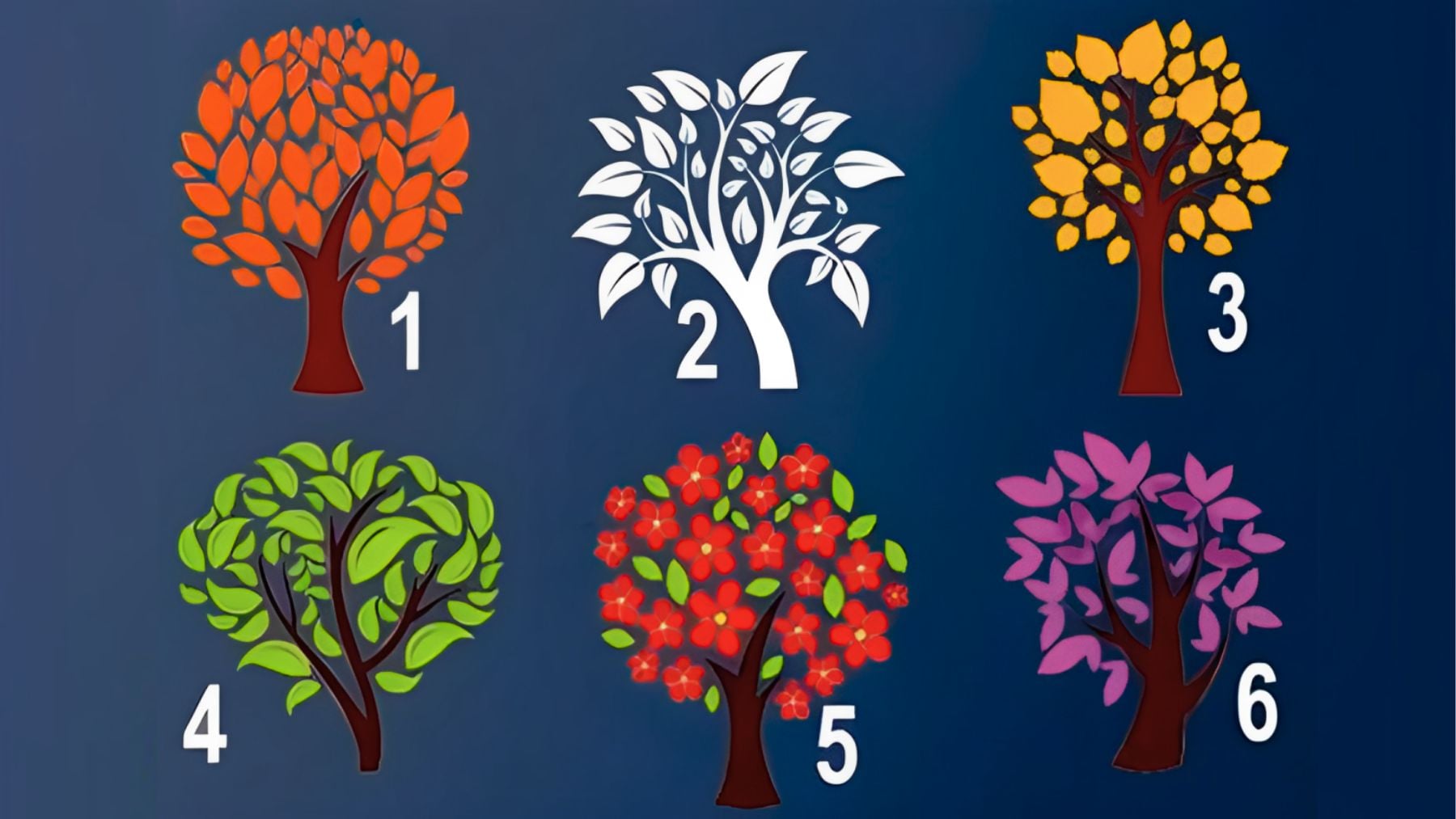 Tree, personality, test