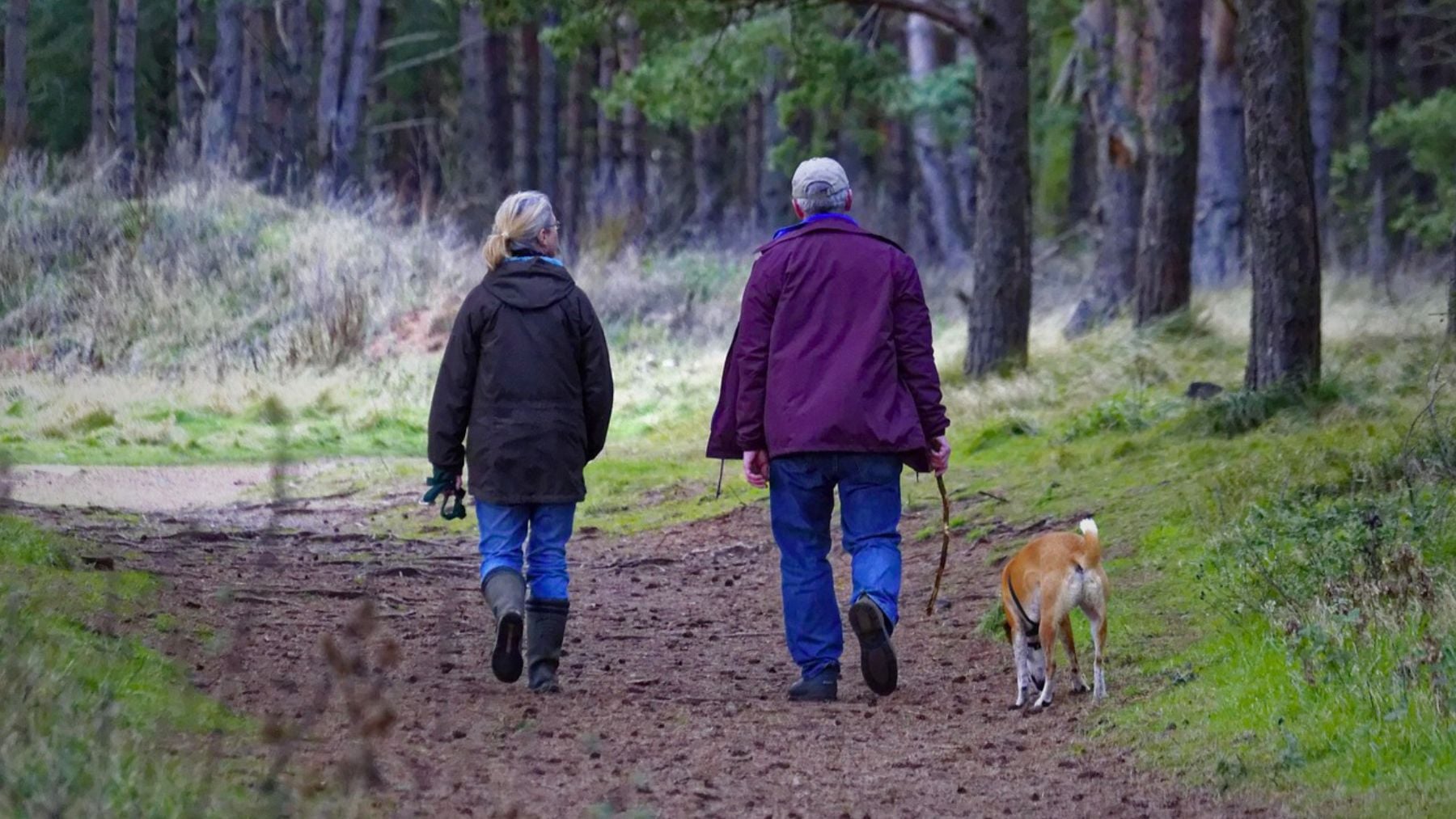 Walking, health, walk