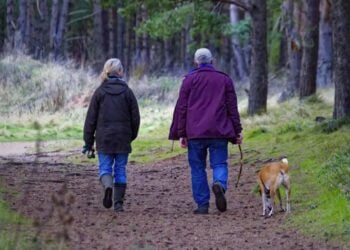 Walking, health, walk