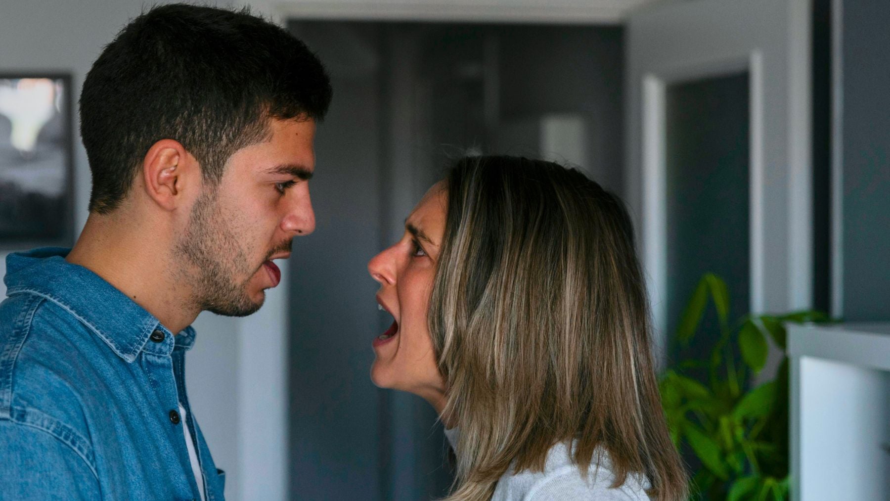 Agression, supplements, diet