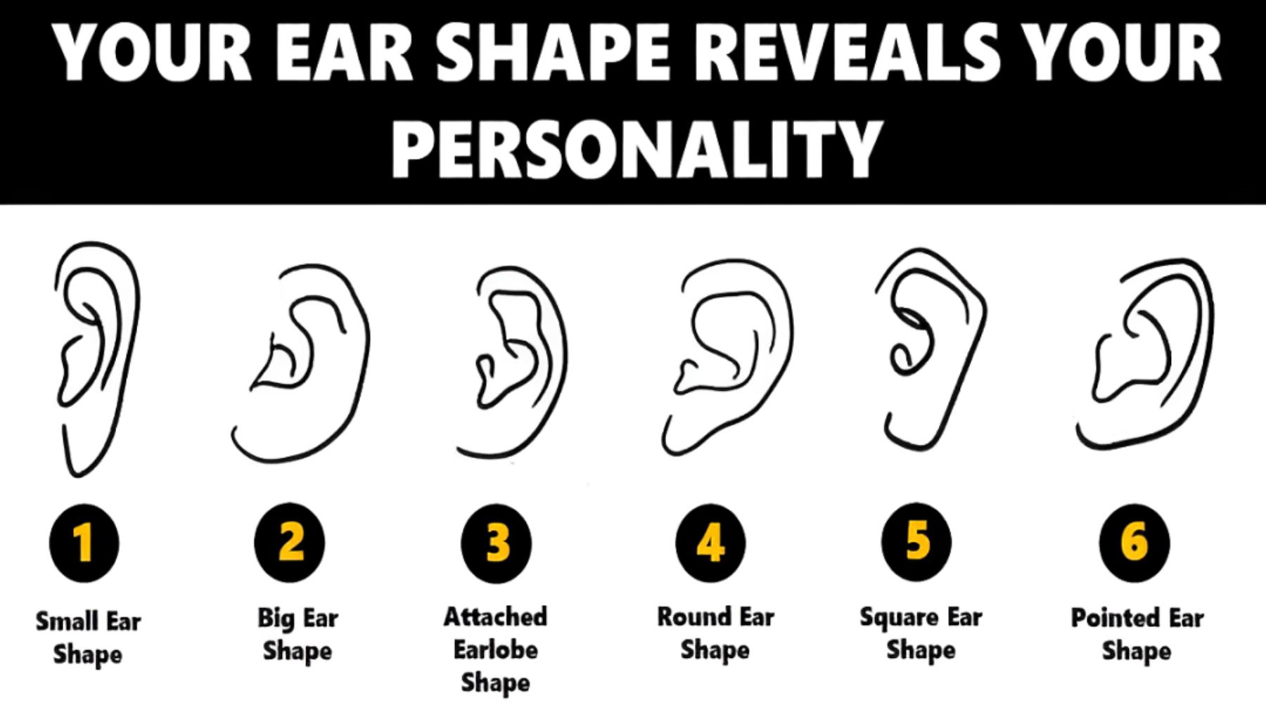 Ear shape, personality, test