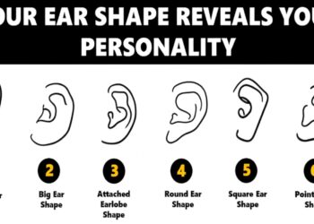 Ear shape, personality, test