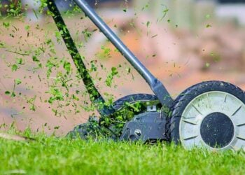 Mowing the lawn, steps, workout