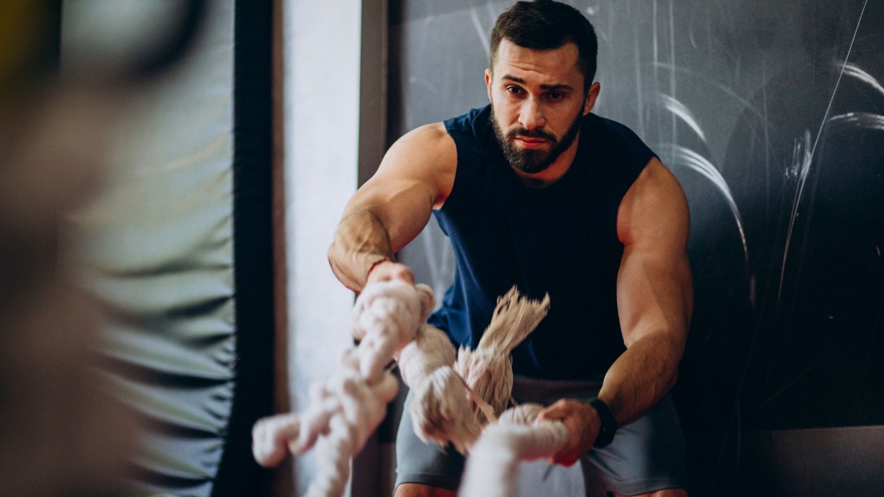 Supplement, hypertrophy, muscle growth