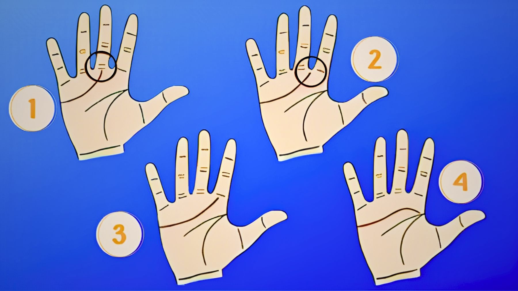 Palms, lines, personality