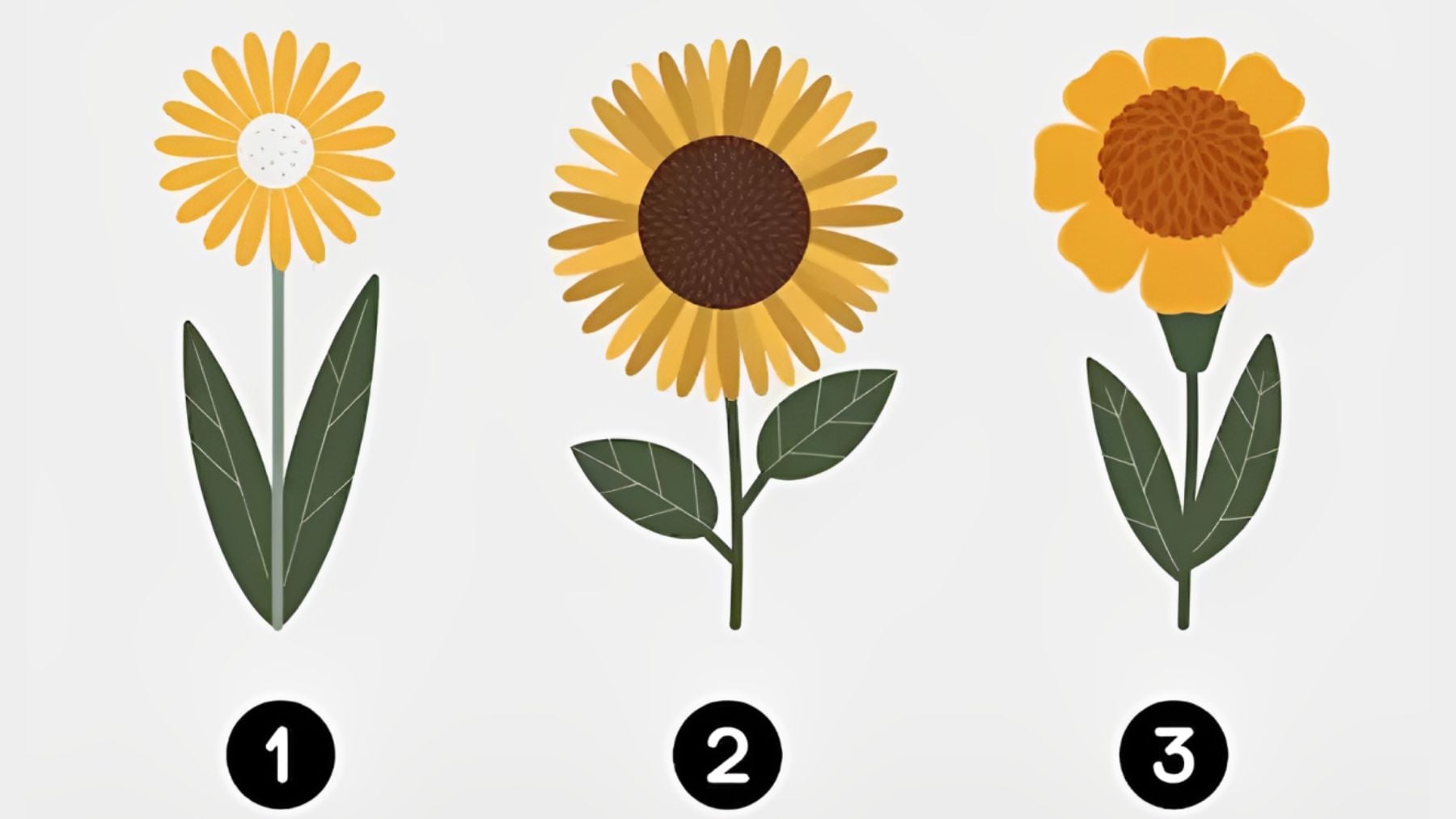 Flowers, personality, test