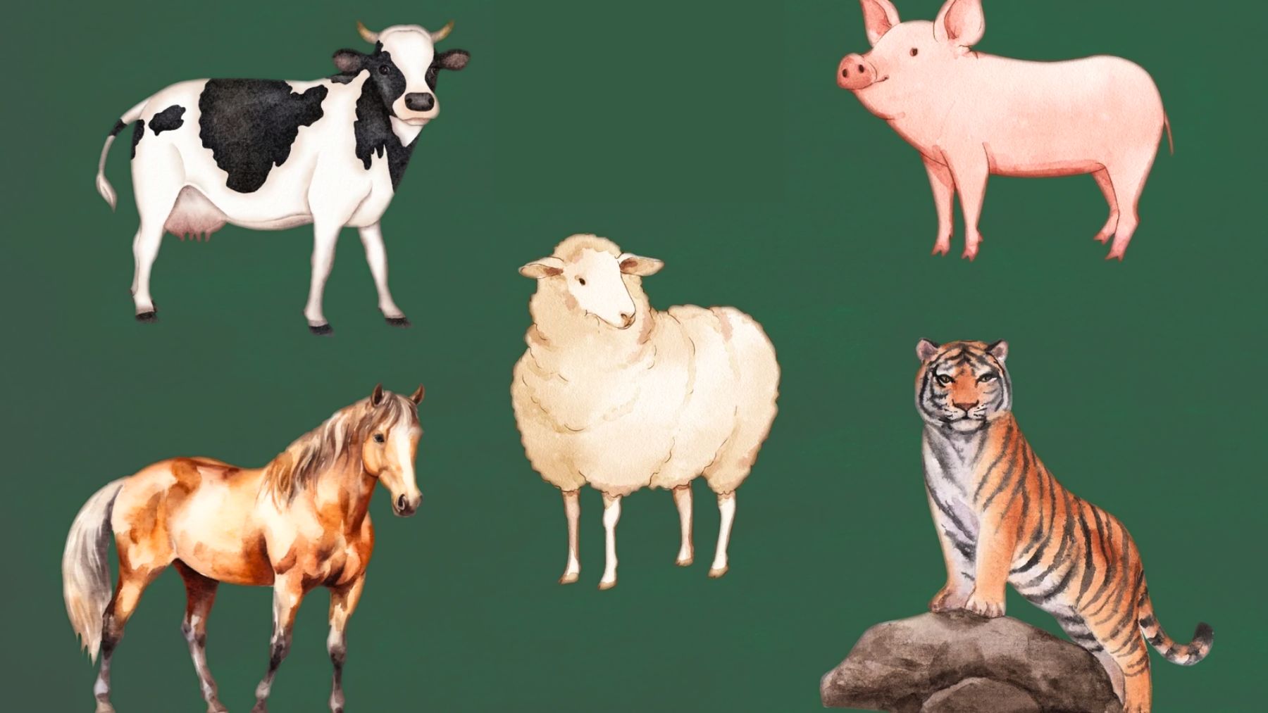 Animal, psychology, test