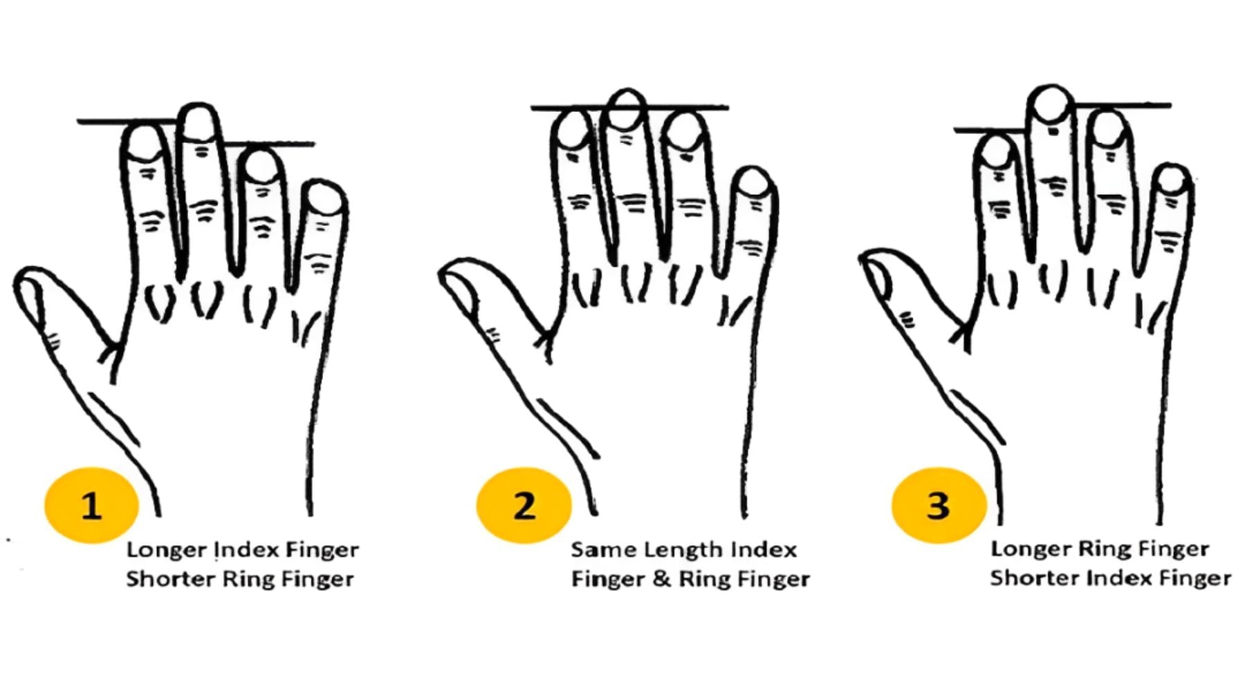Fingers, personality, test