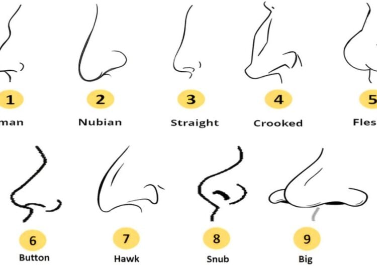 Nose, personality, test