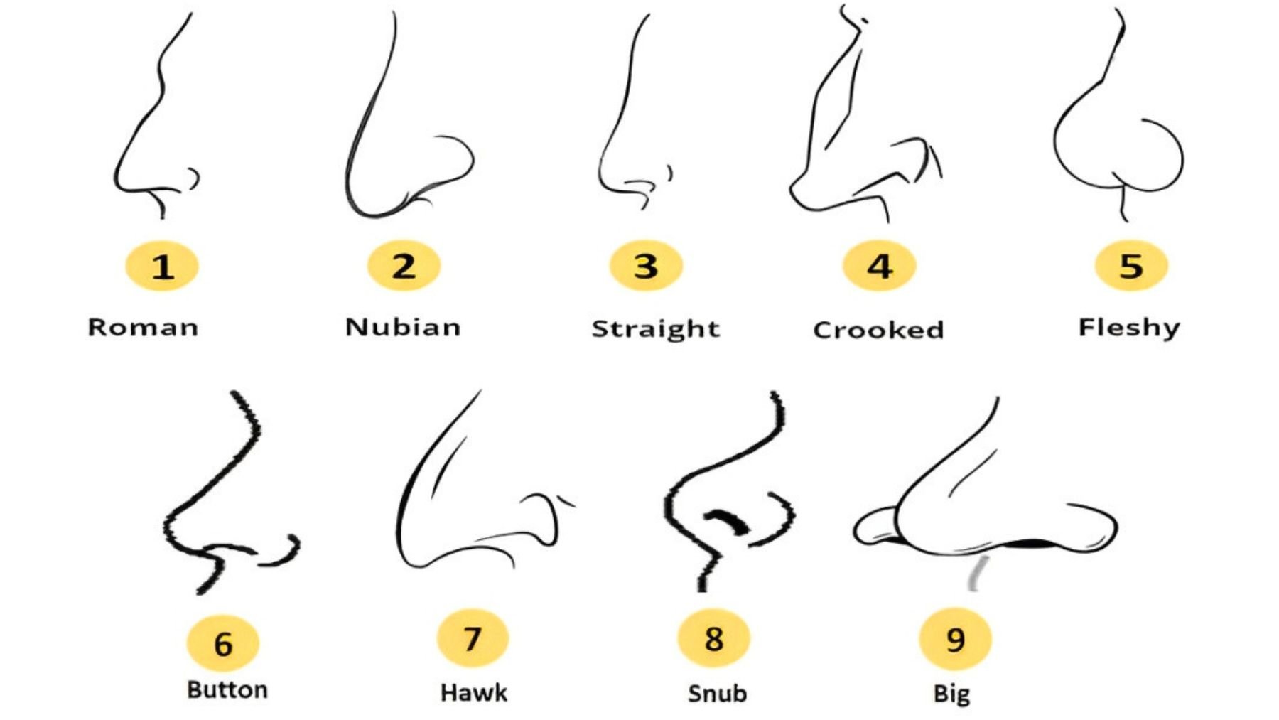 Nose, personality, test