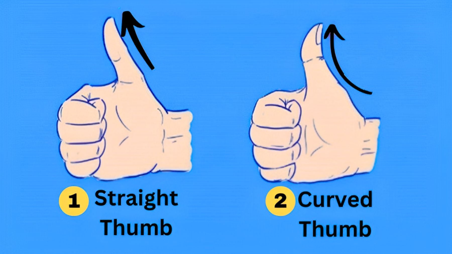 Thumb, personality, test