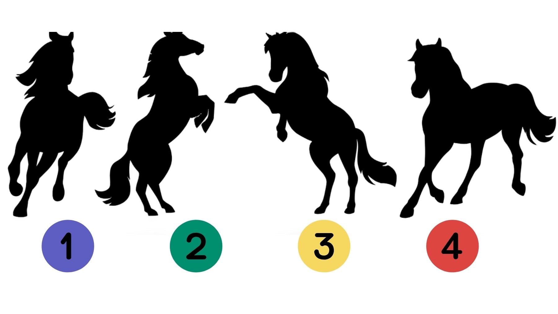 Horse, personality, test