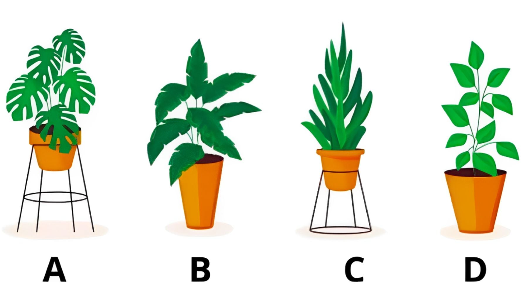 Plants, psychology, test