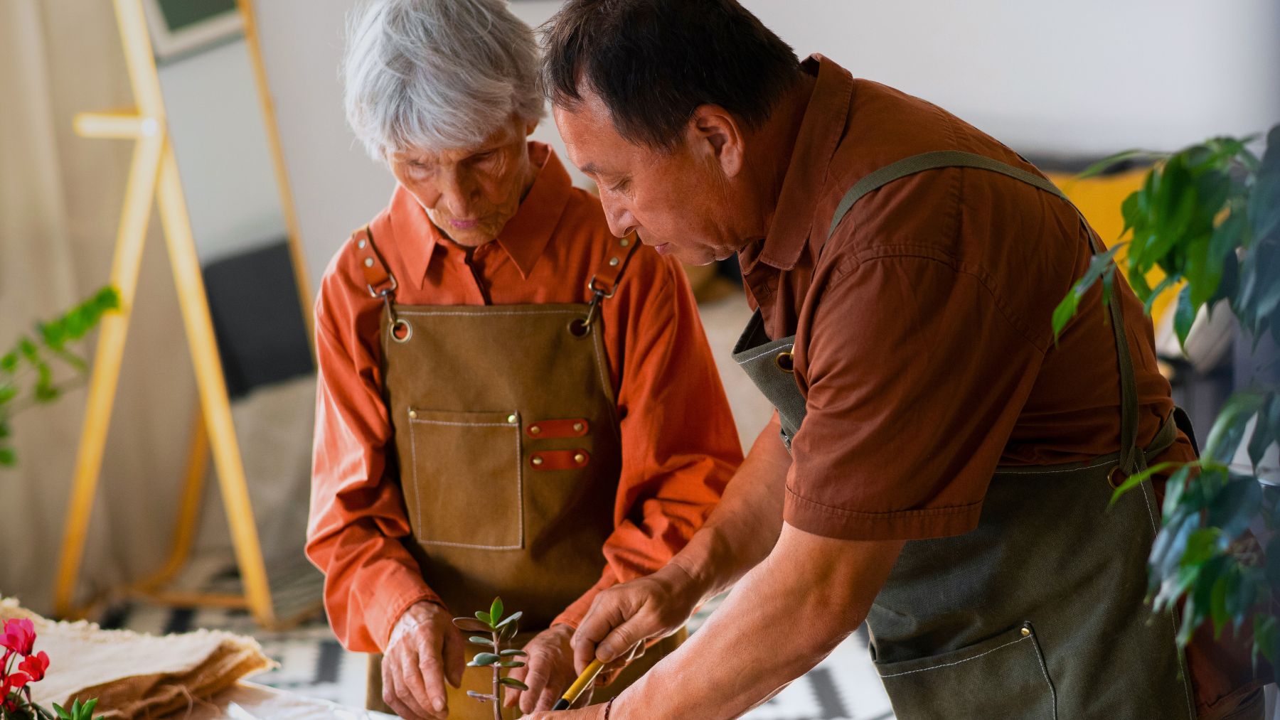 Hobby, retirees, mind