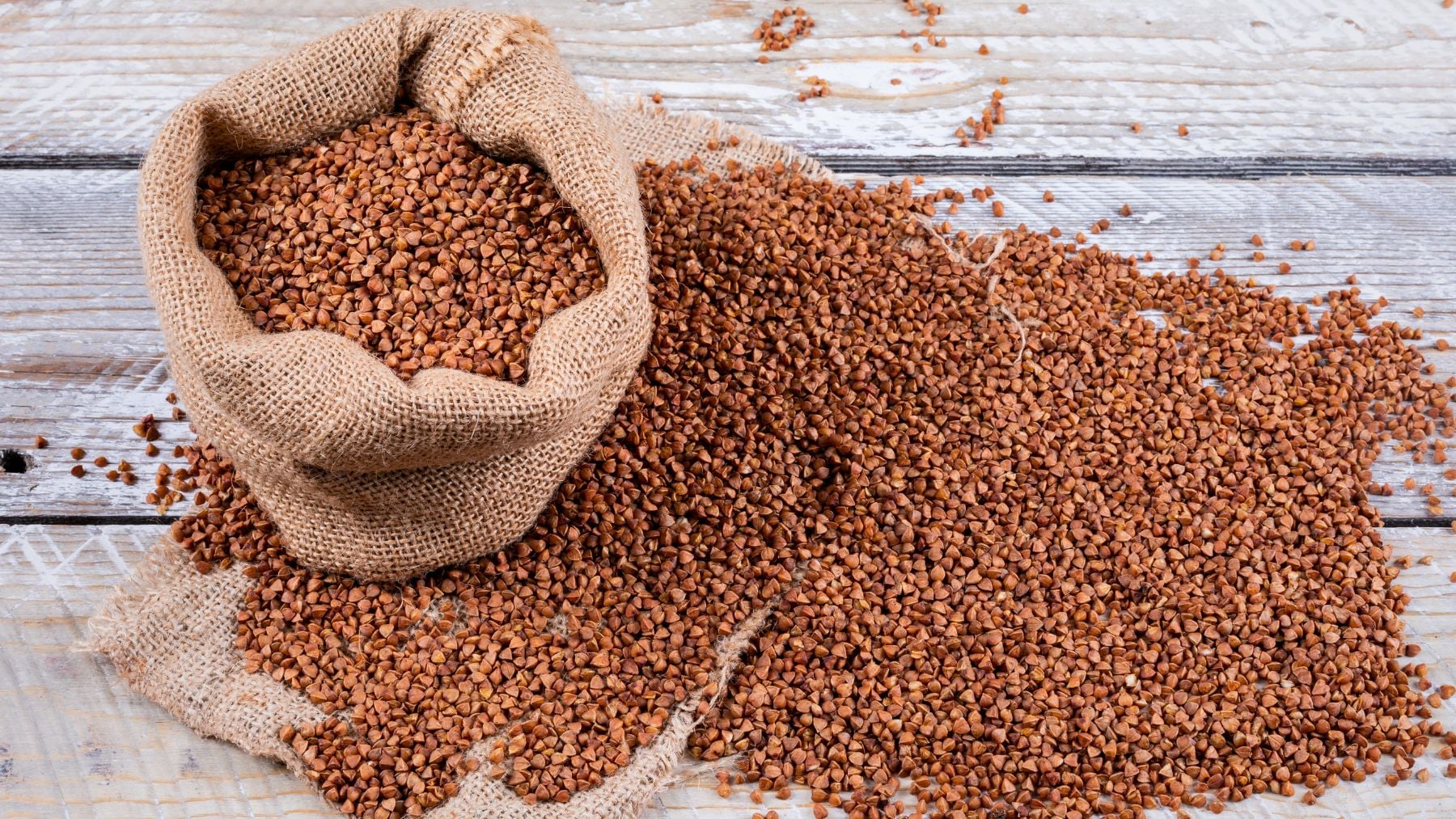 Plant-based, protein, food