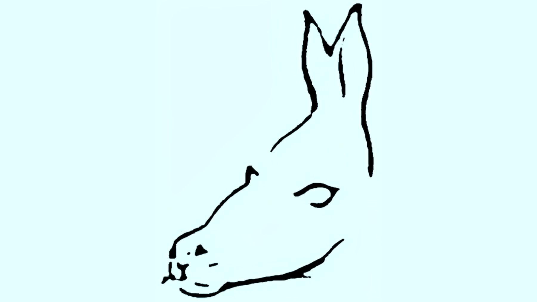 Psychology, visual, test