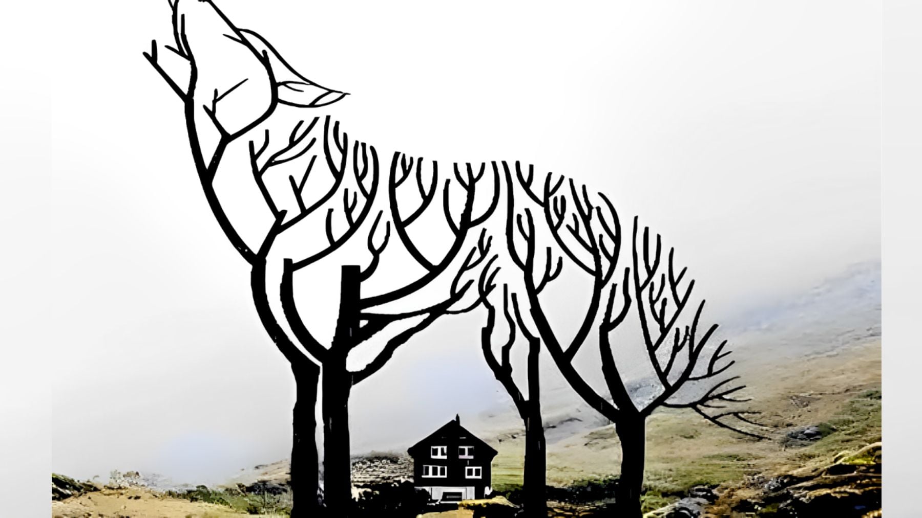 Visual, personality, test