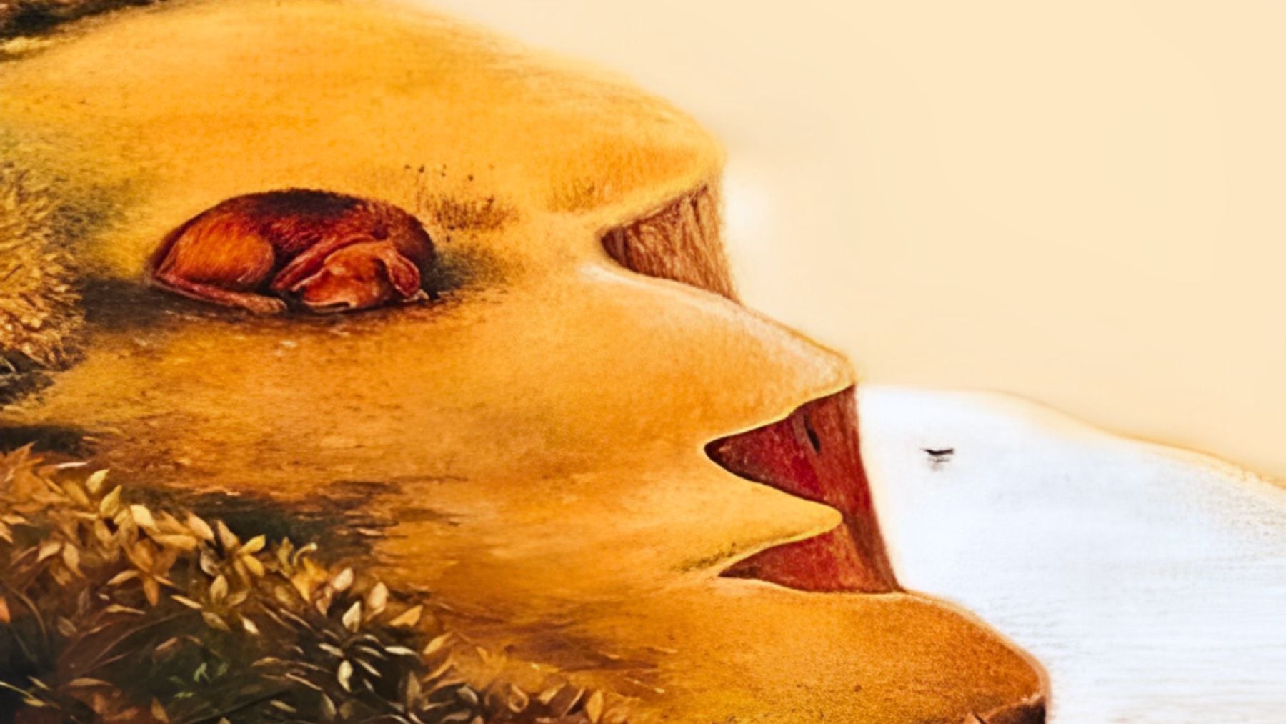 Visual, test, psychology